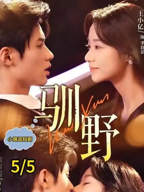 星辰影院剧集长夜列车海报